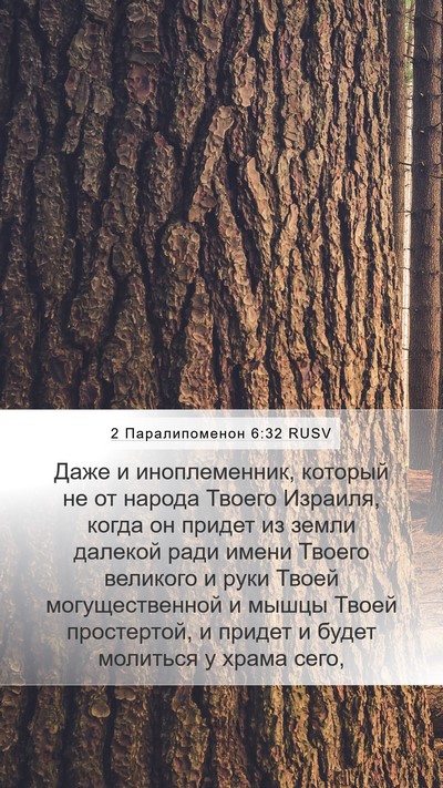 2 Паралипоменон 6:32 RUSV Bible Verse Image