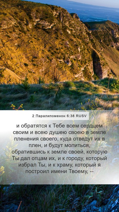 2 Паралипоменон 6:38 RUSV Bible Verse Image