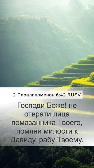 2 Паралипоменон 6:42 RUSV Bible Verse Image