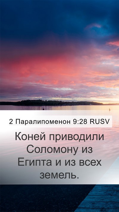 2 Паралипоменон 9:28 RUSV Bible Verse Image
