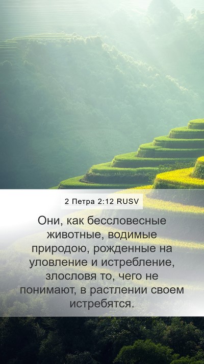 2 Петра 2:12 RUSV Bible Verse Image