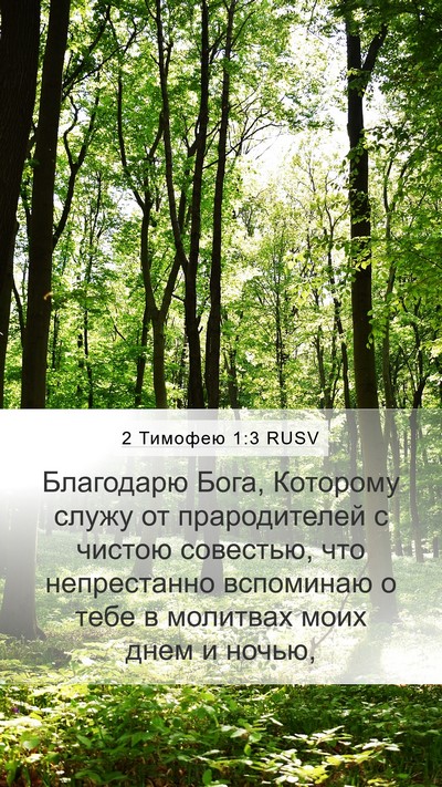 2 Тимофею 1:3 RUSV Bible Verse Image