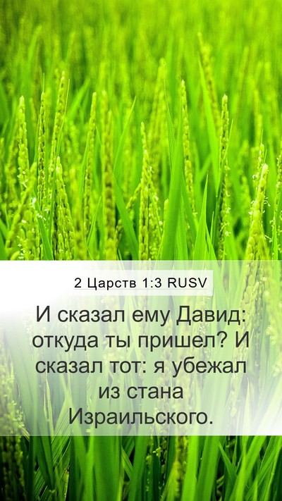 2 Царств 1:3 RUSV Mobile Phone Wallpaper - И сказал ему Давид: откуда - Mobile Bible Verse Wallpaper