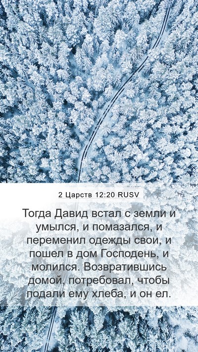 2 Царств 12:20 RUSV Bible Verse Image