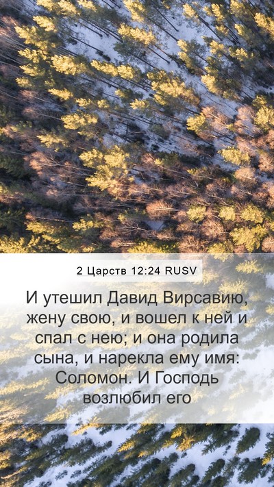 2 Царств 12:24 RUSV Mobile Phone Wallpaper - И утешил Давид Вирсавию, - Mobile Bible Verse Wallpaper