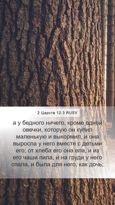 2 Царств 12:3 RUSV Mobile Phone Wallpaper - а у бедного ничего, кроме - Mobile Bible Verse Wallpaper