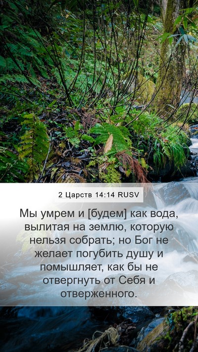 2 Царств 14:14 RUSV Bible Verse Image