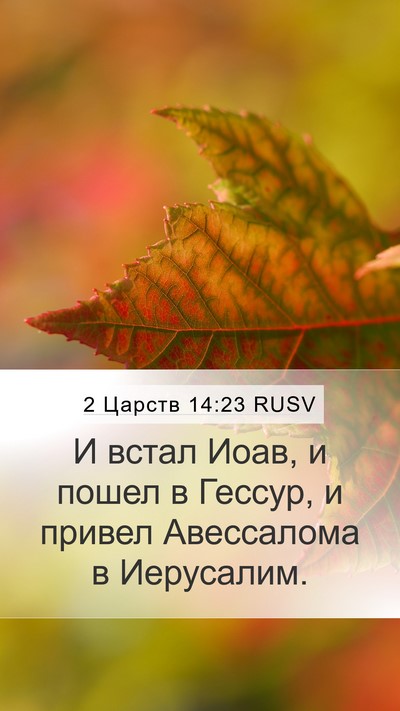 2 Царств 14:23 RUSV Bible Verse Image