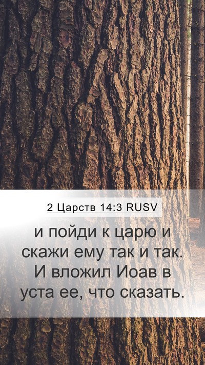 2 Царств 14:3 RUSV Mobile Phone Wallpaper - и пойди к царю и скажи ему - Mobile Bible Verse Wallpaper
