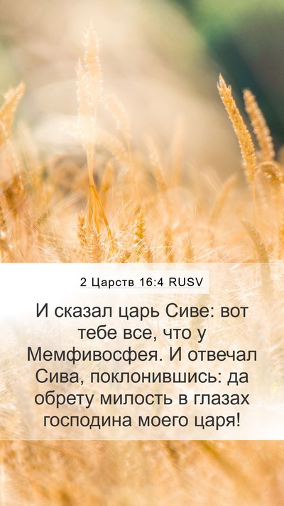 2 Царств 16:4 RUSV Bible Verse Image