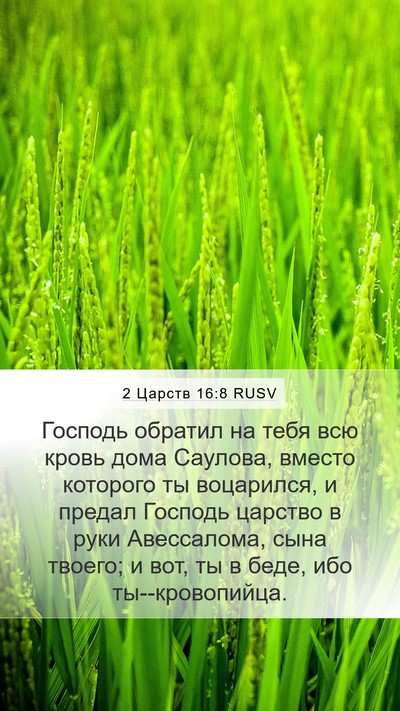 2 Царств 16:8 RUSV Bible Verse Image