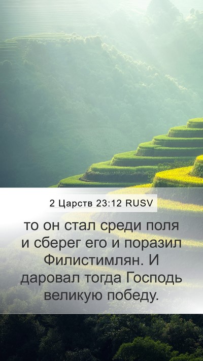 2 Царств 23:12 RUSV Mobile Phone Wallpaper - то он стал среди поля и - Mobile Bible Verse Wallpaper