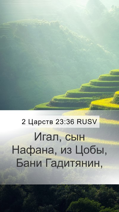 2 Царств 23:36 RUSV Mobile Phone Wallpaper - Игал, сын Нафана, из Цобы, - Mobile Bible Verse Wallpaper