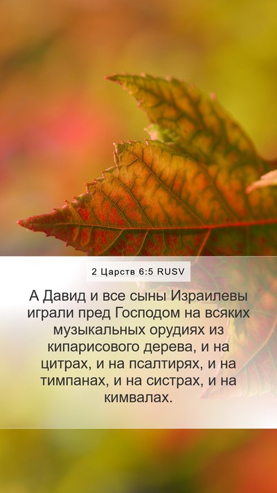 2 Царств 6:5 RUSV Bible Verse Image