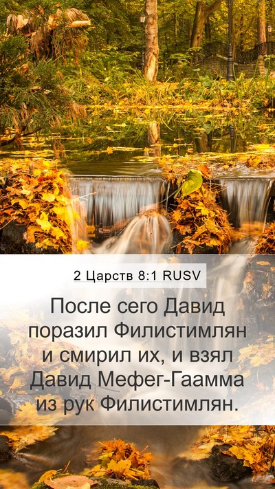 2 Царств 8:1 RUSV Bible Verse Image
