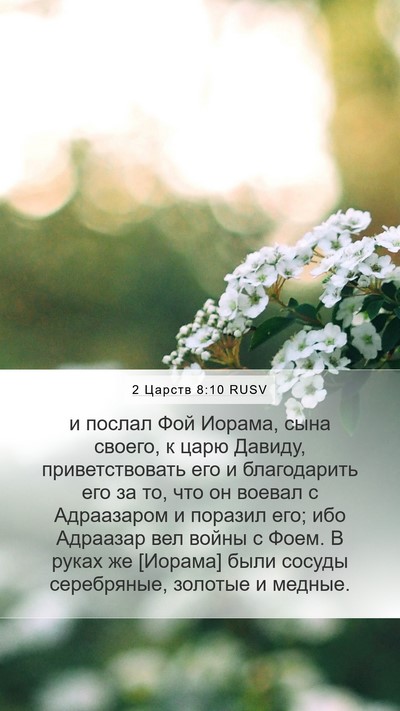 2 Царств 8:10 RUSV Bible Verse Image