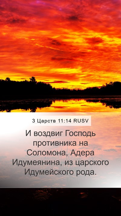 3 Царств 11:14 RUSV Bible Verse Image