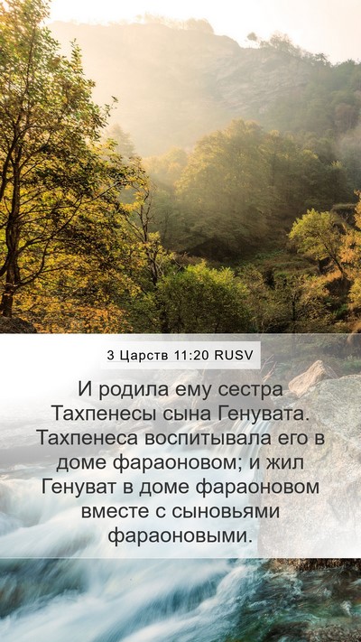 3 Царств 11:20 RUSV Mobile Phone Wallpaper - И родила ему сестра - Mobile Bible Verse Wallpaper