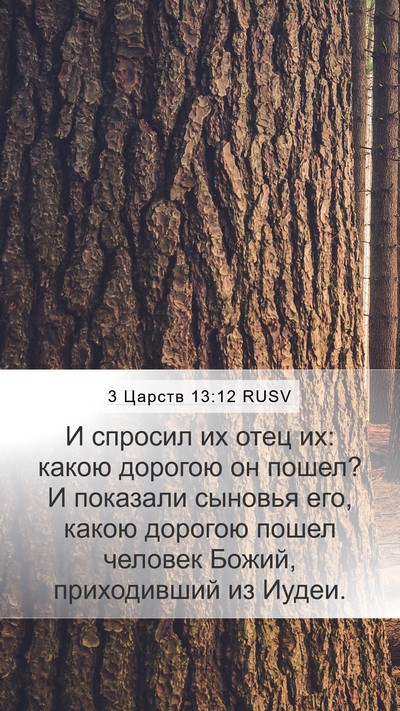 3 Царств 13:12 RUSV Mobile Phone Wallpaper - И спросил их отец их: какою - Mobile Bible Verse Wallpaper