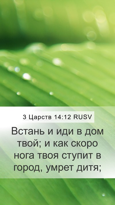 3 Царств 14:12 RUSV Bible Verse Image