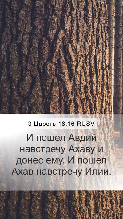 3 Царств 18:16 RUSV Mobile Phone Wallpaper - И пошел Авдий навстречу - Mobile Bible Verse Wallpaper