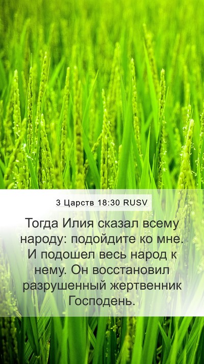 3 Царств 18:30 RUSV Bible Verse Image