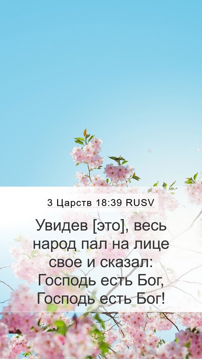 3 Царств 18:39 RUSV Bible Verse Image