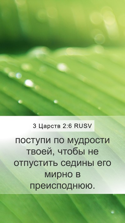 3 Царств 2:6 RUSV Bible Verse Image