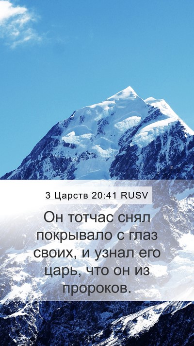 3 Царств 20:41 RUSV Mobile Phone Wallpaper - Он тотчас снял покрывало с - Mobile Bible Verse Wallpaper