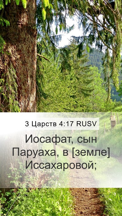 3 Царств 4:17 RUSV Mobile Phone Wallpaper - Иосафат, сын Паруаха, в - Mobile Bible Verse Wallpaper