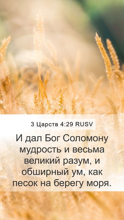 3 Царств 4:29 RUSV Bible Verse Image
