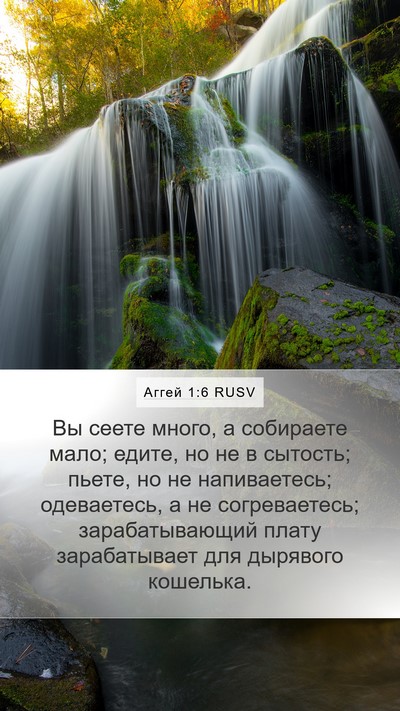 Аггей 1:6 RUSV Bible Verse Image
