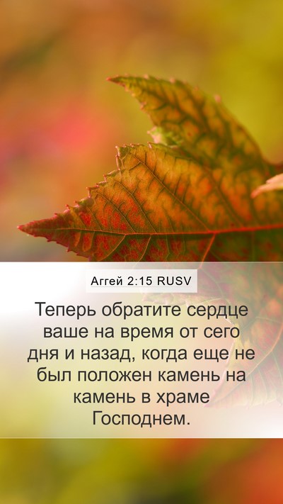 Аггей 2:15 RUSV Mobile Phone Wallpaper - Теперь обратите сердце - Mobile Bible Verse Wallpaper