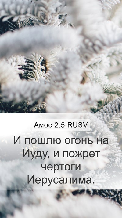 Амос 2:5 RUSV Bible Verse Image