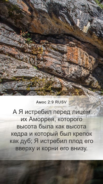 Амос 2:9 RUSV Bible Verse Image