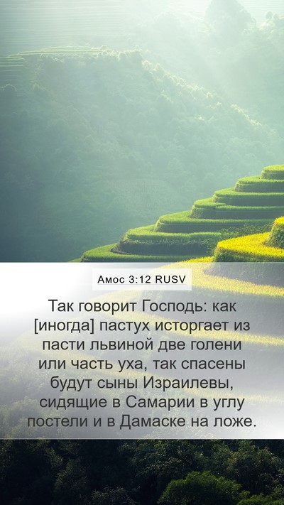 Амос 3:12 RUSV Bible Verse Image