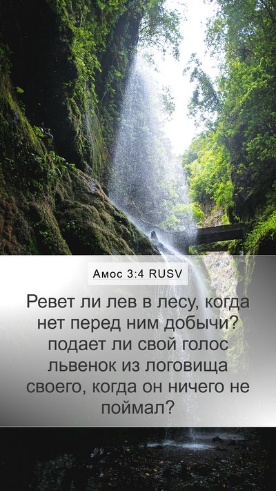 Амос 3:4 RUSV Bible Verse Image