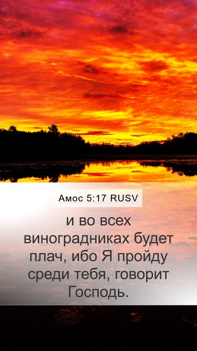 Амос 5:17 RUSV Mobile Phone Wallpaper - и во всех виноградниках - Mobile Bible Verse Wallpaper