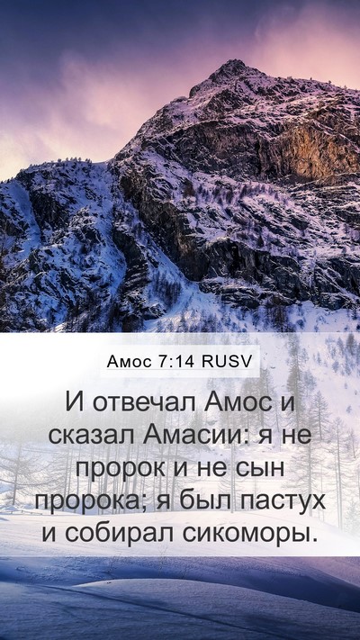 Амос 7:14 RUSV Bible Verse Image