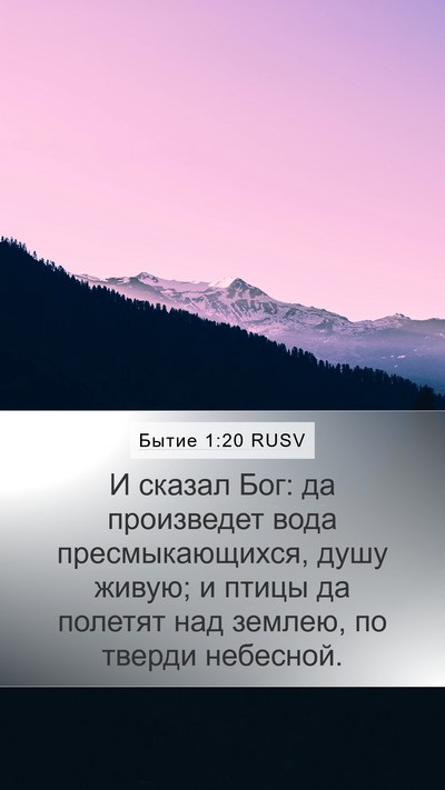 Бытие 1:20 RUSV Bible Verse Image