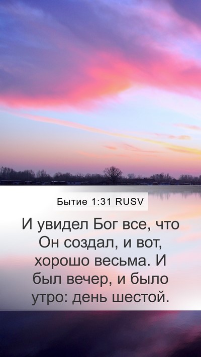 Бытие 1:31 RUSV Bible Verse Image