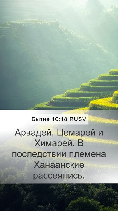Бытие 10:18 RUSV Bible Verse Image