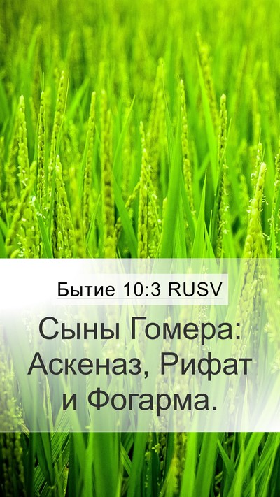 Бытие 10:3 RUSV Bible Verse Image