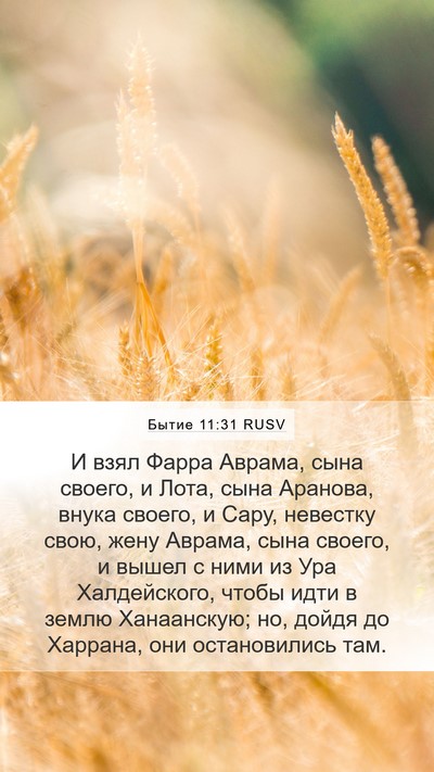 Бытие 11:31 RUSV Bible Verse Image