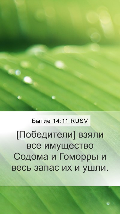 Бытие 14:11 RUSV Mobile Phone Wallpaper - [Победители] взяли все - Mobile Bible Verse Wallpaper