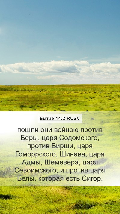 Бытие 14:2 RUSV Bible Verse Image