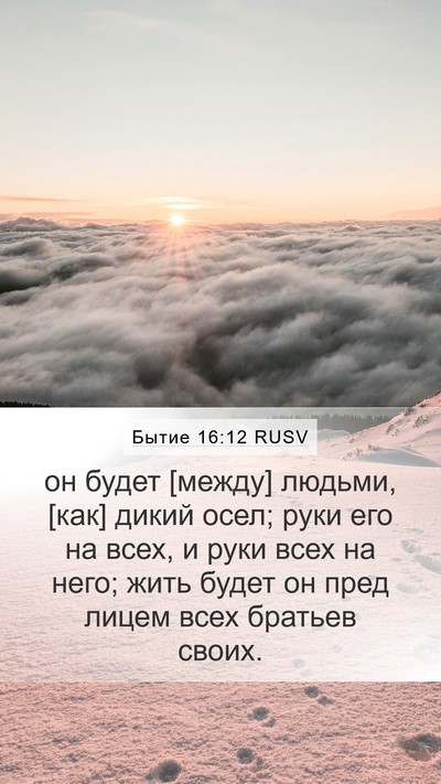 Бытие 16:12 RUSV Mobile Phone Wallpaper - он будет [между] людьми, - Mobile Bible Verse Wallpaper