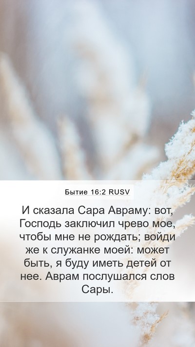 Бытие 16:2 RUSV Mobile Phone Wallpaper - И сказала Сара Авраму: вот, - Mobile Bible Verse Wallpaper
