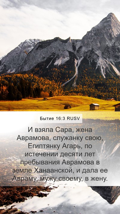 Бытие 16:3 RUSV Mobile Phone Wallpaper - И взяла Сара, жена - Mobile Bible Verse Wallpaper