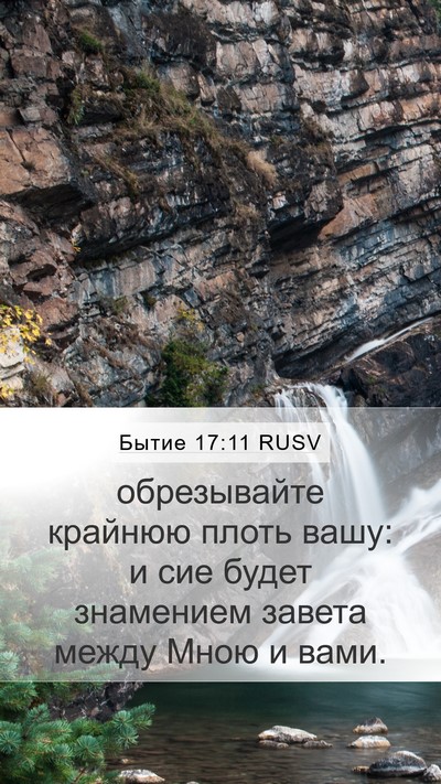 Бытие 17:11 RUSV Mobile Phone Wallpaper - обрезывайте крайнюю плоть - Mobile Bible Verse Wallpaper